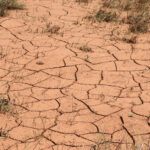 Arid lands. Global warming, desertification.