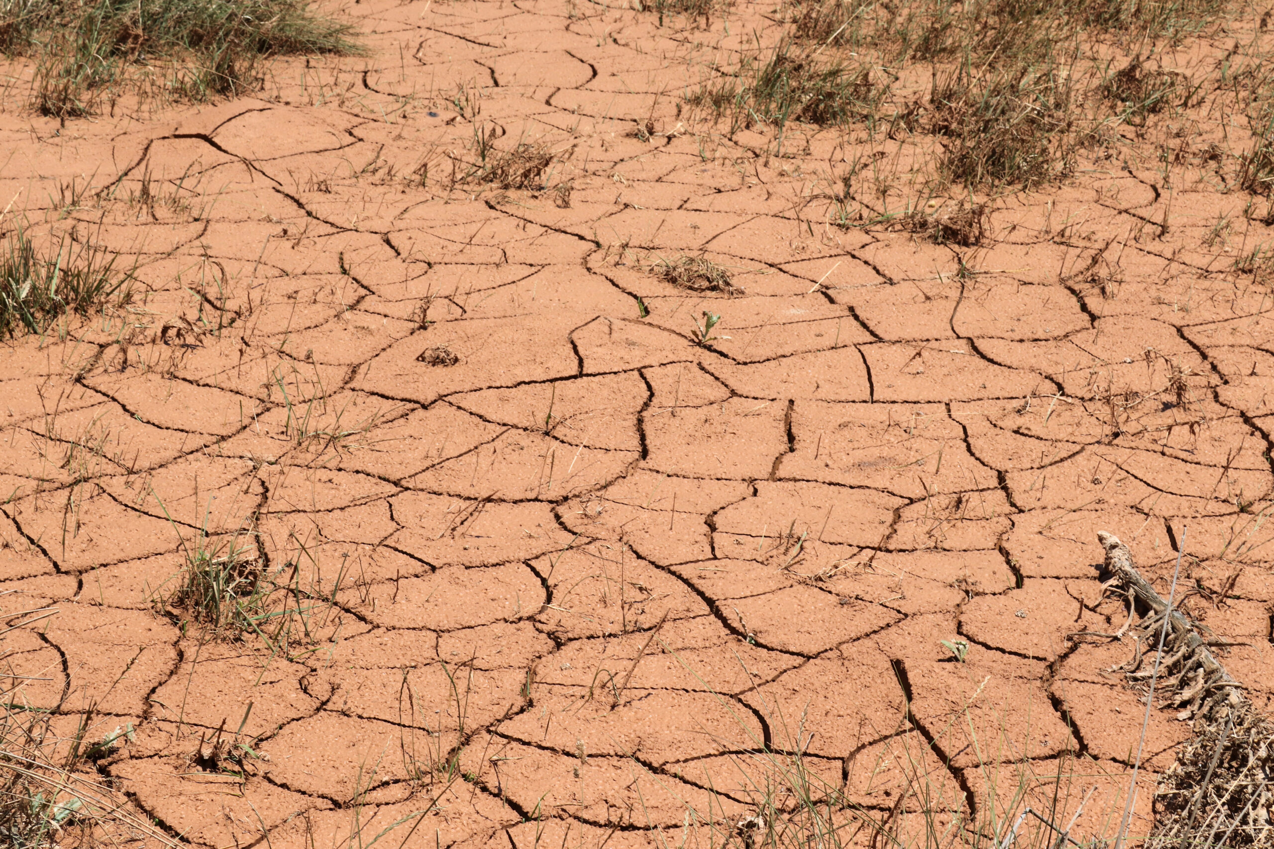 Arid lands. Global warming, desertification.